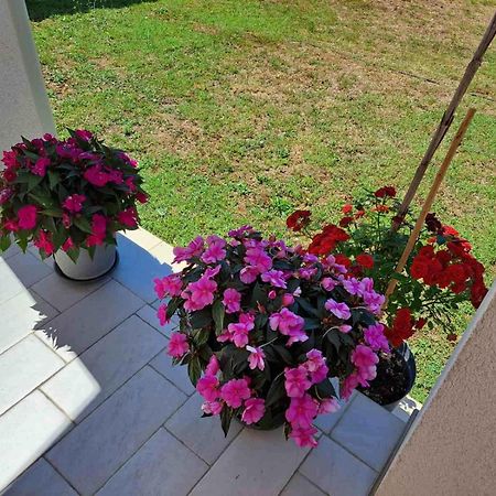 Apartmani Danica Vodnjan Kültér fotó