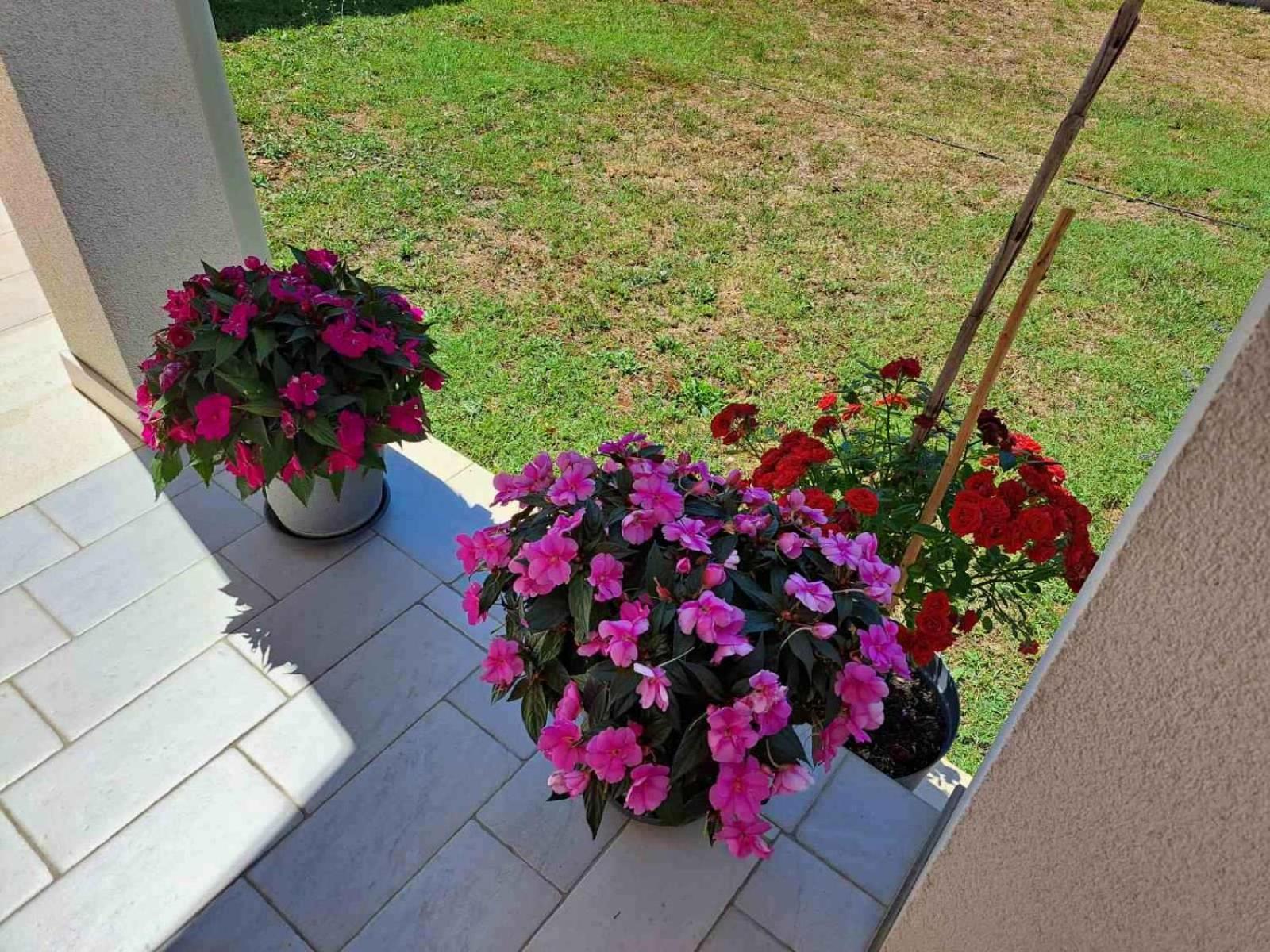 Apartmani Danica Vodnjan Kültér fotó