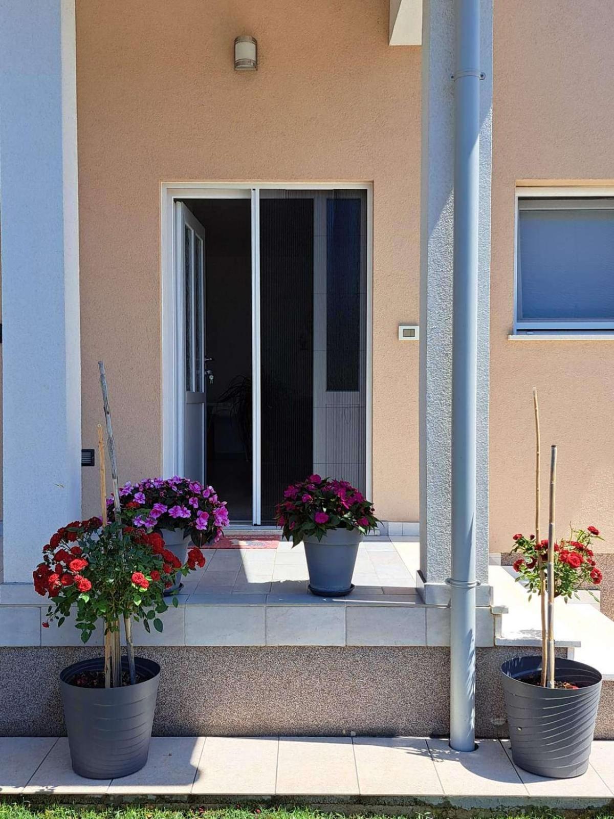 Apartmani Danica Vodnjan Kültér fotó